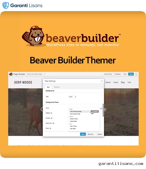 Beaver Builder Themer