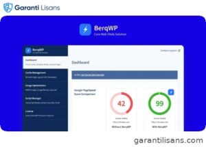BerqWP – WordPress Speed & Core Web Vitals Optimization Plugin