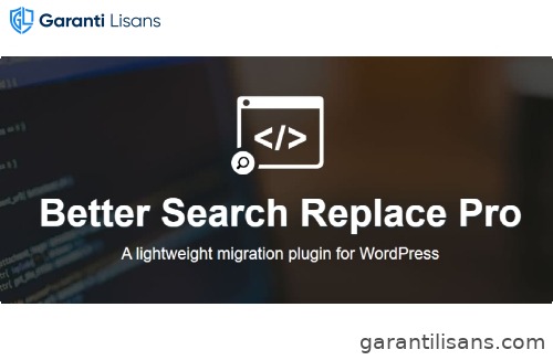 Better Search Replace Pro