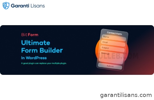 Bit Form Pro