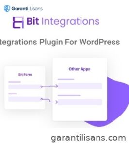 Bit Integrations Pro