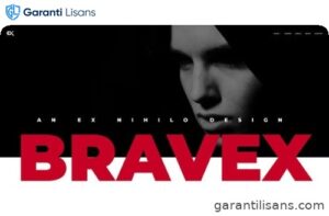 Bravex – Creative Portfolio WordPress Theme