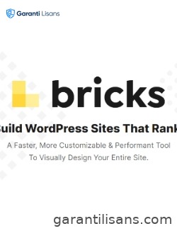Bricks Theme – with Builder