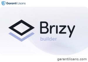 Brizy Pro
