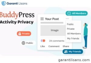 BuddyPress Auto Friendship Pro