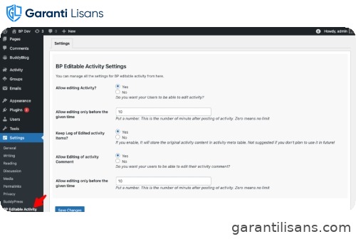 BuddyPress Editable Activity