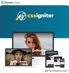 CSS Igniter Amaryllis WordPress Theme