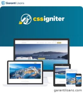 CSS Igniter Andros WordPressTheme