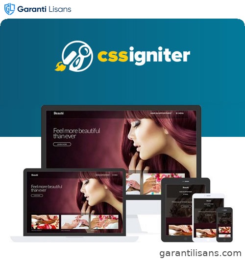 CSS Igniter Beaute WordPress Theme