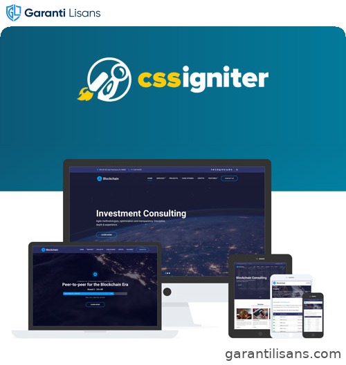 CSS Igniter Blockchain WordPress Theme
