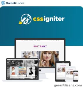 CSS Igniter Brittany WordPress Theme