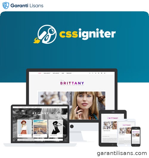 CSS Igniter Brittany WordPress Theme