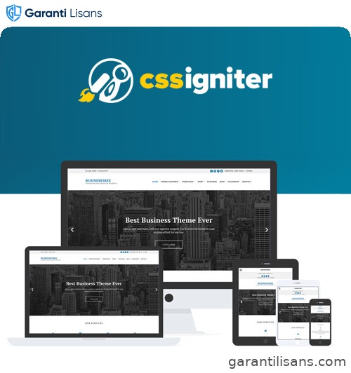 CSS Igniter Business3ree WordPress Theme