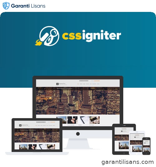 CSS Igniter BusinessTwo WordPress Theme