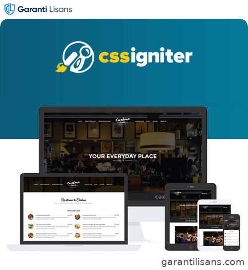 CSS Igniter Carbone WordPress Theme
