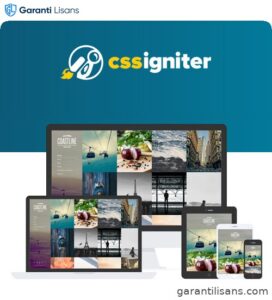 CSS Igniter Coastline WordPress Theme
