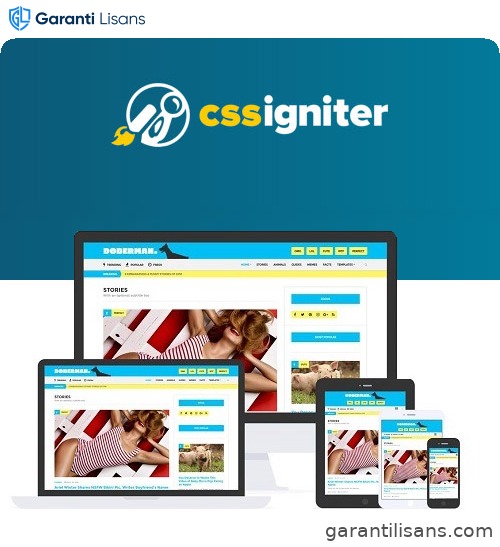 CSS Igniter Doberman WordPress Theme