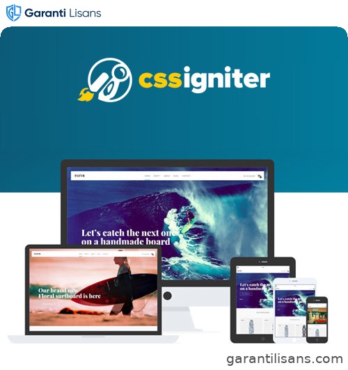 CSS Igniter Flevr Woocommerce Theme