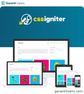 CSS Igniter Hellomouse WordPress Theme