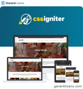 CSS Igniter Igloo WordPress Theme