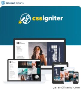 CSS Igniter Lense WordPress Theme