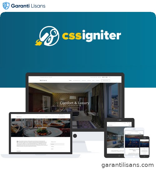 CSS Igniter Moliere WordPress Theme