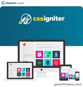 CSS Igniter Nico WordPress Theme