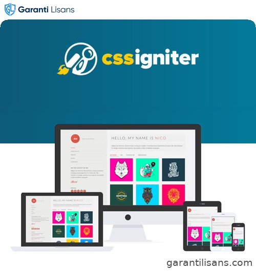 CSS Igniter Nico WordPress Theme