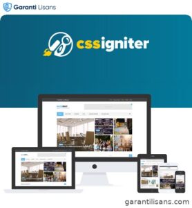 CSS Igniter Noozbeat WordPress Theme