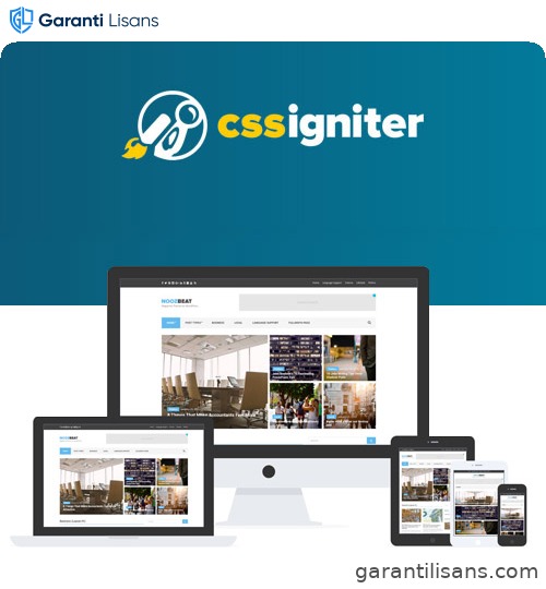 CSS Igniter Noozbeat WordPress Theme