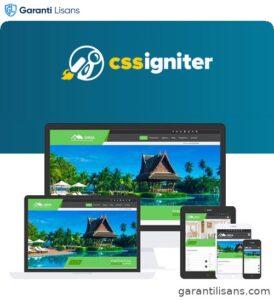 CSS Igniter Oikia WordPress Theme
