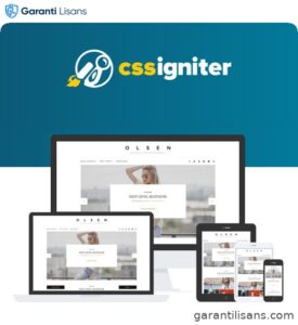 CSS Igniter Olsen WordPress Theme