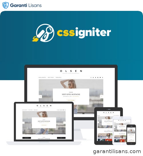 CSS Igniter Olsen WordPress Theme