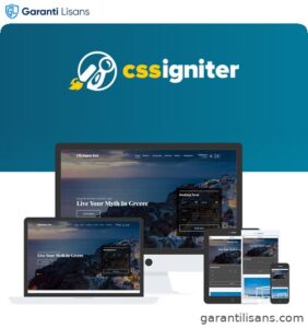 CSS Igniter Olympus Inn Hotel Motel WordPress Theme