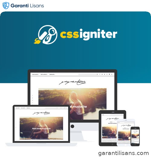 CSS Igniter Paperbag WordPress Theme
