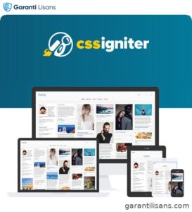 CSS Igniter Pinfinity WordPress Theme