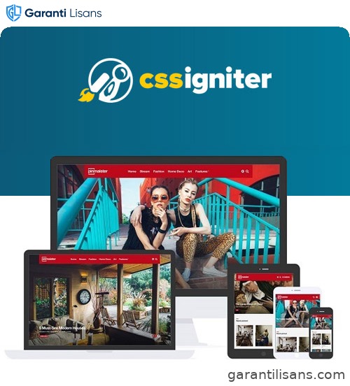 CSS Igniter Pinmaister WordPress Theme