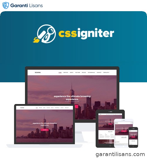 CSS Igniter Eclecticon WordPress Theme