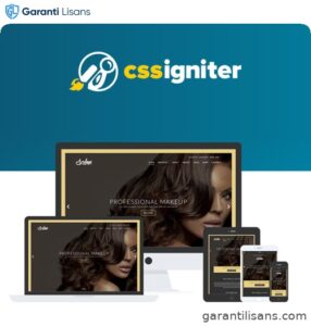 CSS Igniter Salon WordPress Theme