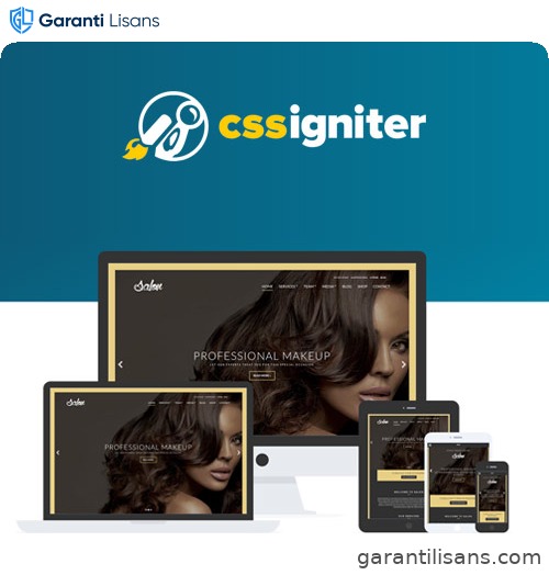 CSS Igniter Salon WordPress Theme