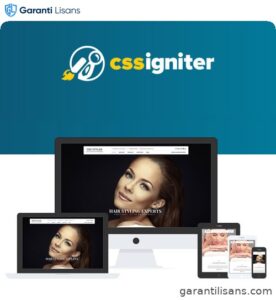 CSS Igniter The Styler WordPress Theme