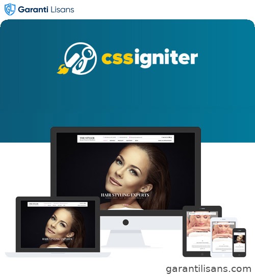 CSS Igniter The Styler WordPress Theme