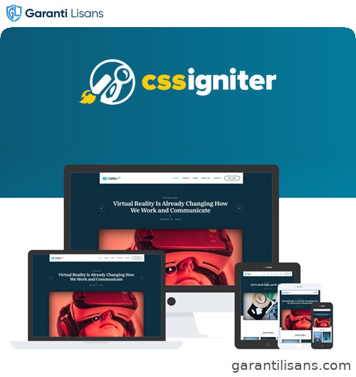 CSS Igniter Vidiho Pro Theme