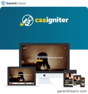 CSS Igniter Vignette WordPress Theme