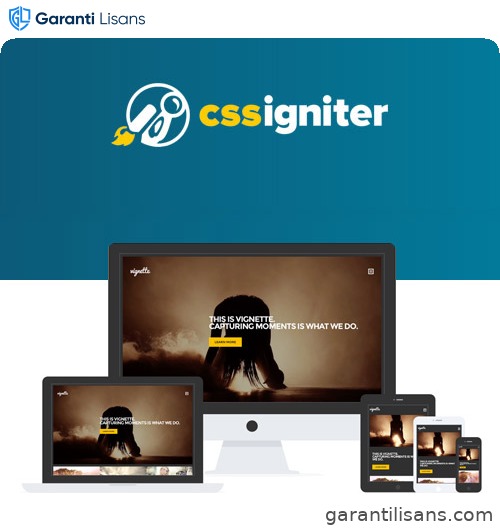 CSS Igniter Vignette WordPress Theme
