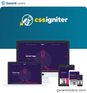 CSS Igniter Vigour WordPress Theme