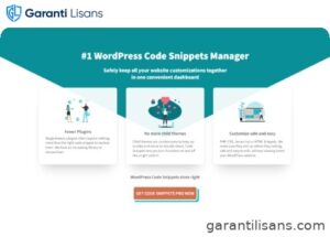 Code Snippets Pro