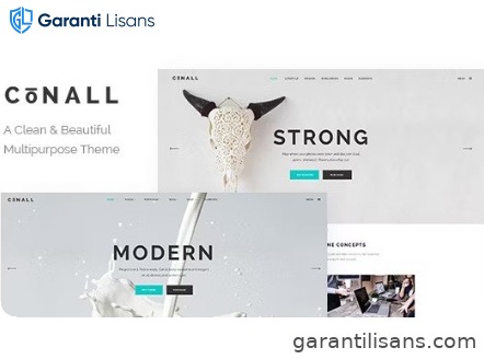 Conall – Clean Multipurpose Theme