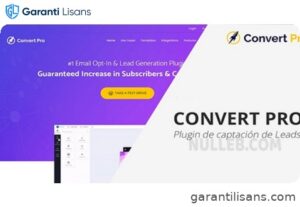 Convert Pro – The Best Lead Generation Tool for WordPress