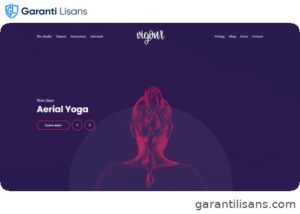 Cssignither Vigour WP Theme